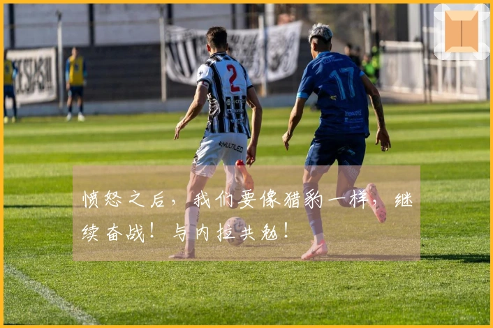 愤怒之后，我们要像猎豹一样，继续奋战！与内拉共勉！